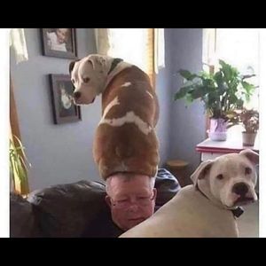 Meet your Posher, Gonzalo